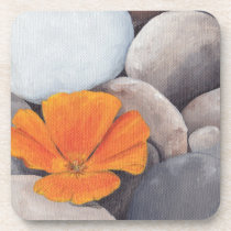 Serenity Orange Poppy cork coasters