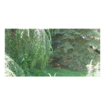 Serenity photo cards by TMZDesignStudios Serenity photo cards