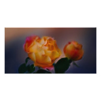 Serenity photo cards by laureenr Serenity photo cards