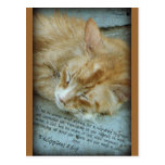 Serenity Post Card