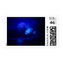 serenity stamps