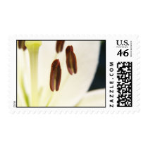 "Serenity" Postage