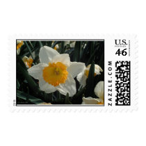 Serenity Stamps