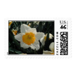 Serenity Stamps