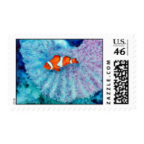 Serenity Postage Stamp