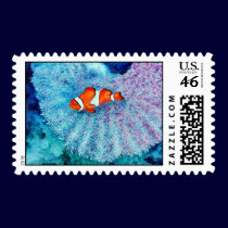 Serenity Postage Stamp