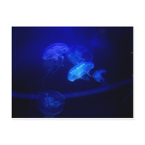 Serenity postcards by ladywulf Serenity postcards