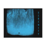 SERENITY postcards