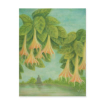 Serenity Post Cards