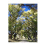 Serenity. Post Cards