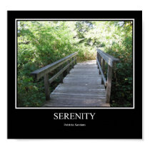 serenity posters by joacreations serenity posters