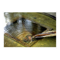 Serenity posters by imagemosaic Serenity posters