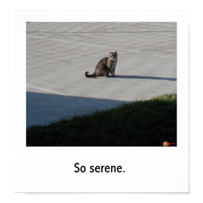 Serenity. Print by Kartoffel