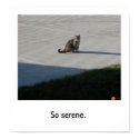 Serenity. posters