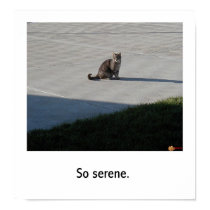 Serenity. posters by Kartoffel Serenity. posters