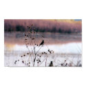 Serenity posters by Sarah_2 Serenity posters
