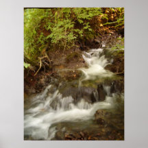 Serenity Posters