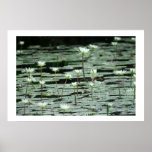 Serenity Print