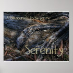 Serenity Print