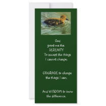 SERENITY PRAYER: DUCK: ART, PAINTING rack cards