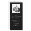 SERENITY PRAYER:GIRL:HORSE:PENCIL ART:RACK CARD rack cards