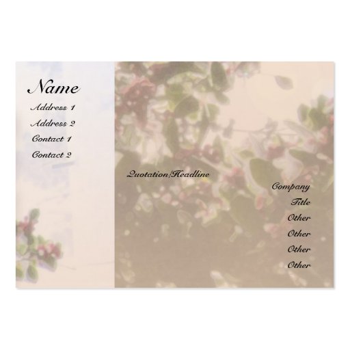 Serenity Prayer Holly Profile Card Business Card (front side)
