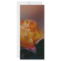 Serenity rack cards