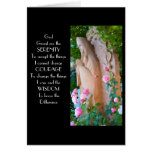 Serenity Rose Garden Serenity Rose Garden