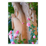 Serenity Rose Garden Serenity Rose Garden