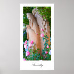 Serenity Rose Garden Posters Serenity Rose Garden Posters