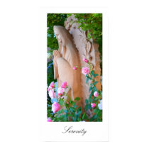Serenity Rose Garden posters