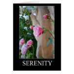 Serenity Roses Card cards