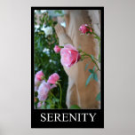 Serenity Roses Poster posters