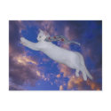 Serenity soars Postcard