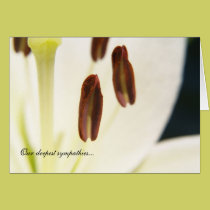 "Serenity" Sympathy/ Bereavement Card cards