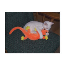 Serenity tackles lizard Postcard by odd_eyed Serenity tackles lizard Postcard