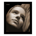 Serenity v1 poster