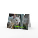 Serenity Valentine Card - Customized by odd_eyed Serenity Valentine Card - Customized