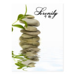 Serenity - Zen Rocks with Bamboo Post Card