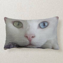 Serenity's 2-faced pillow pillows