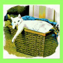 Serenity's basket #3 poster posters