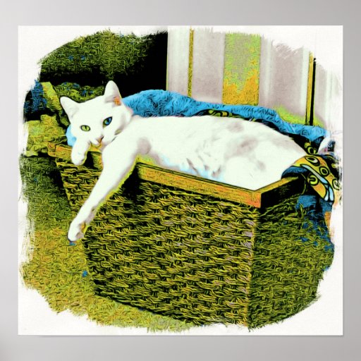Serenity's basket #3 poster