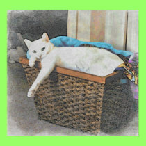Serenity's basket poster posters