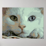 Serenity's eyes #1 poster