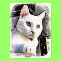 Serenity's formal portrait #1 poster posters
