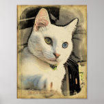 Serenity's formal portrait #2 poster