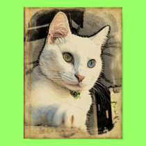 Serenity's formal portrait #2 poster posters