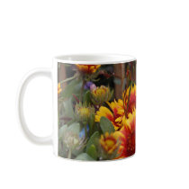 serentiy mugs