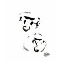 Series - Kingdom t-shirts by Barbancourt Series - Kingdom t-shirts