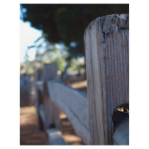 Series- Local Park Letterhead